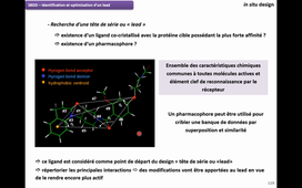 Partie 9 - SBDD - in situ design - Identification et optimisation d’un lead