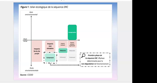 Droit de la biodiversité - Cours II - Hubert DELZANGLES