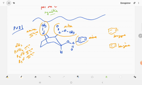 TD S1 - groupe B5 (07/12/2020)