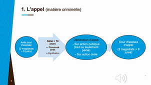 Les voies de recours