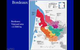 French Appellations and effect of terroir on wine sensory quality - Pierre-Louis TEISSEDRE