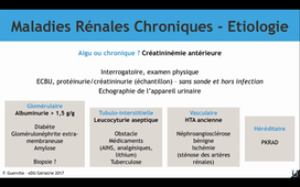 eDU-gériatrie- Maladies rénales chronique- étiologie et traitement