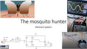 5a_The_mosquito_hunter