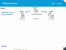 8_biomolécules